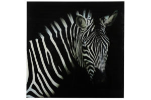 Schilderij Zebra L Zwart/Wit Woonaccessoires Countryfield
