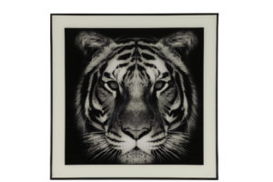 Schilderij tijger S Zwart/Wit Woonaccessoires Countryfield